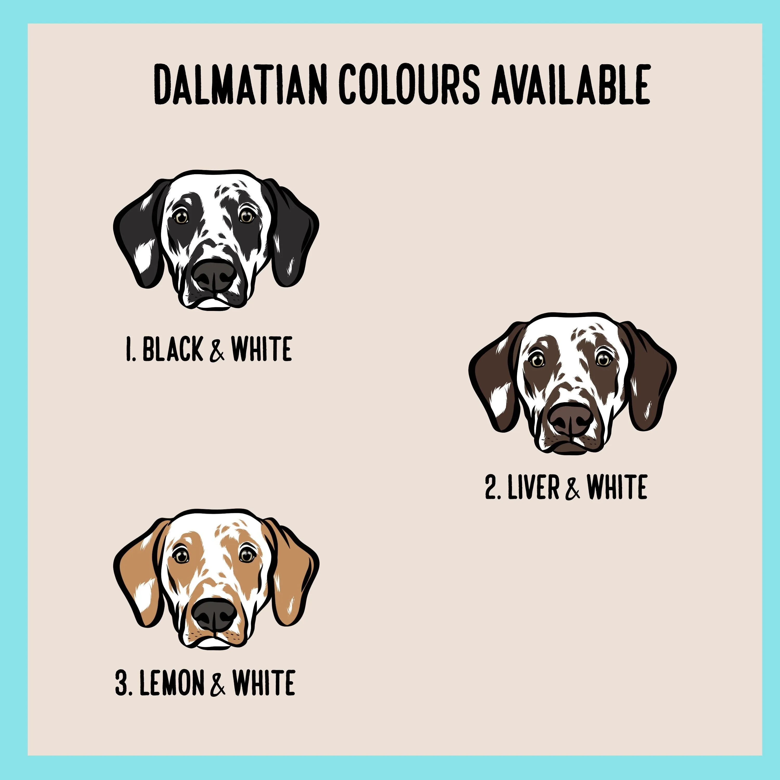Dalmatian Face Sweatshirt